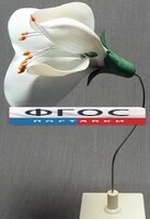 Модель "Цветок гороха" - fgospostavki.ru - Артём