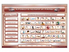 Трехсекционный базовый комплект "Травмы. Кровотечения. Ожоги" для учащихся общеобразовательных учреждений - fgospostavki.ru - Артём