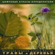 Растения средней полосы России "Травы и Деревья". (Цифровые атласы-определители) - fgospostavki.ru - Артём