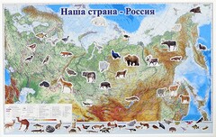 Магнитные карточки "Животные" - fgospostavki.ru - Артём