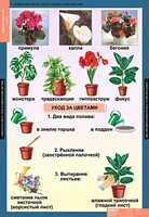 Комплект таблиц. Окружающий мир 1 класс. - fgospostavki.ru - Артём