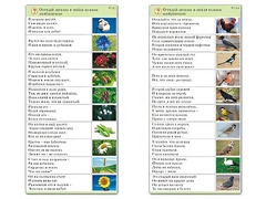 Комплект карточек (10) "Обучающий калейдоскоп. Природа" - fgospostavki.ru - Артём