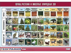 Таблица демонстрационная "Почвы, растения и животные природных зон" (винил 70*100) - fgospostavki.ru - Артём