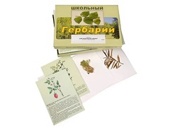 Гербарий "Для начальной школы" (30 видов, с иллюстрациями) - fgospostavki.ru - Артём