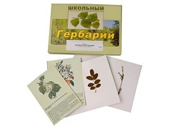 Гербарий "Деревья и кустарники" (22 вида, с иллюстрациями) - fgospostavki.ru - Артём