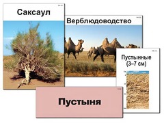 Модель-аппликация "Природные зоны России" (ламинированная) - fgospostavki.ru - Артём