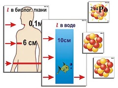 Модель-аппликация "Явление радиоактивности" (ламинированная) - fgospostavki.ru - Артём