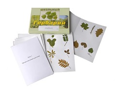 Гербарий "Морфология растений" (6 тем, 30 видов) - fgospostavki.ru - Артём