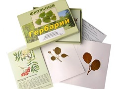 Гербарий "Систематика растений. Семейство Розоцветные" (раздаточный) - fgospostavki.ru - Артём