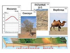 Модель-аппликация "Природные зоны" - fgospostavki.ru - Артём