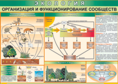 Таблица "Организация и функционирование сообществ" (100х140 сантиметров, винил) - fgospostavki.ru - Артём