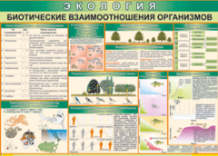 Таблица "Биотические взаимоотношения организмов" (100х140 сантиметров, винил) - fgospostavki.ru - Артём