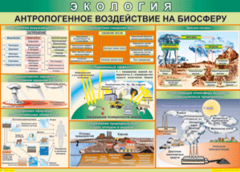 Таблица "Антропогенное воздействие на биосферу" (100х140 сантиметров, винил) - fgospostavki.ru - Артём