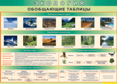 Таблица "Экология. Обобщающие таблицы" (100х140 сантиметров, винил) - fgospostavki.ru - Артём