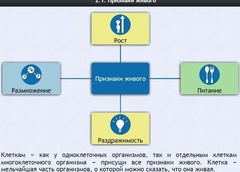 Интерактивные курсы. Биология 5 класс. Базовый - fgospostavki.ru - Артём