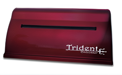 Принтер для печати рельефно-точечным шрифтом Брайля Trident - fgospostavki.ru - Артём