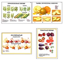 Плакаты ПРОФТЕХ "Ассортимент овощных культур" (12 пл, винил, 70х100) - fgospostavki.ru - Артём