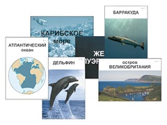 Модель-аппликация "Океаны. Знакомство" (ламинированная) - fgospostavki.ru - Артём