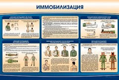 Стенд "Иммобилизация" - fgospostavki.ru - Артём