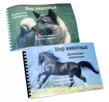 Пособие для слабовидящих - Домашние животные - fgospostavki.ru - Артём