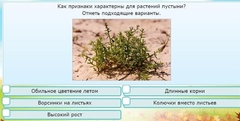 Интерактивные курсы. Окружающий мир 3 класс . Базовый. - fgospostavki.ru - Артём
