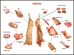Таблица "Правила разделки мясных туш. Свинина" (100х140 сантиметров. винил) - fgospostavki.ru - Артём