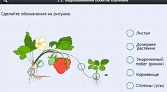 Интерактивные курсы. Биология 7 класс. Расширенный. - fgospostavki.ru - Артём