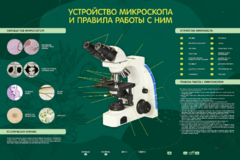 Электрифицированный стенд "Устройство микроскопа и правила работы c ним" - fgospostavki.ru - Артём