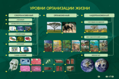 Электрифицированный стенд "Уровни организации жизни" - fgospostavki.ru - Артём