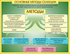 Стенд "Методы селекции и биотехнологии" - fgospostavki.ru - Артём