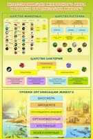 Стенд "Классификация животного мира" - fgospostavki.ru - Артём