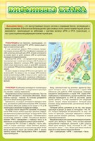 Стенд "Биосинтез белка" - fgospostavki.ru - Артём
