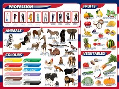 Стенд "Цвета, животные, профессии, фрукты, овощи" - fgospostavki.ru - Артём