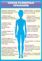 Стенд "Снятие мерок" Вариант 2 - fgospostavki.ru - Артём