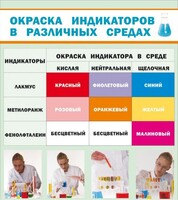 Стенд "Окраска индикаторов в различных средах" - fgospostavki.ru - Артём