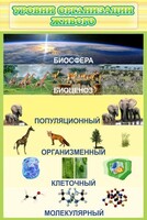 Стенд "Уровни организации живого" - fgospostavki.ru - Артём