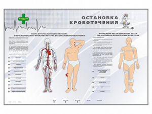 Электрифицированный стенд "Остановка кровотечения" - fgospostavki.ru - Артём