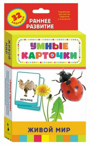 Карточки Домана "Живой мир" - fgospostavki.ru - Артём