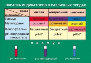 Таблица. Окраска индикаторов в различных средах. - fgospostavki.ru - Артём