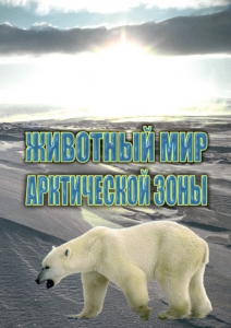 DVD "Животный мир Арктической зоны" - fgospostavki.ru - Артём