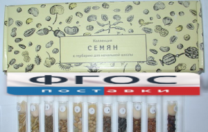 Коллекция "Семена к гербарию для начальной школы" (11 видов) - fgospostavki.ru - Артём