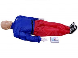 "Александр-04" тренажер-манекен взрослого пострадавшего для отработки приемов сердечно-легочной реанимации (голова, туловище, конечности) с контроллером - fgospostavki.ru - Артём