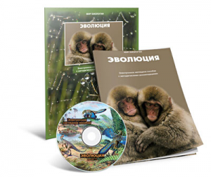 Электронное наглядное пособие «Эволюция» - fgospostavki.ru - Артём