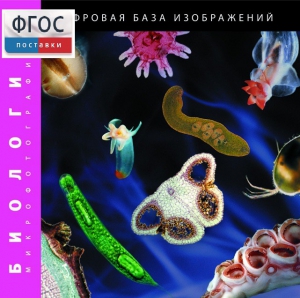Биология. Микрофотографии. (Цифровая база изображений) - fgospostavki.ru - Артём
