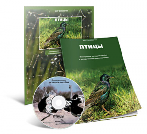 Электронное наглядное пособие «Птицы» - fgospostavki.ru - Артём