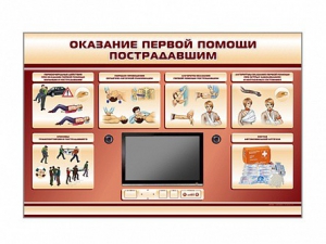 Многофункциональный интерактивный стенд-тренажер "Оказание первой помощи пострадавшим" для учащихся общеобразовательных учреждений - fgospostavki.ru - Артём