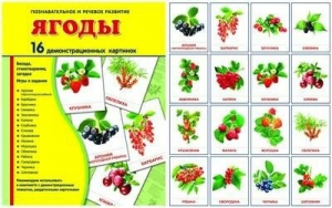 Демонстрационные карточки "Ягоды" - fgospostavki.ru - Артём
