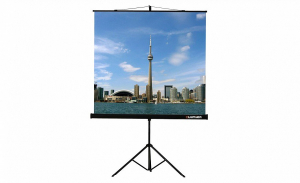 Проекционный экран на штативе Lumien Eco View (LEV-100105) 160x160 см - fgospostavki.ru - Артём