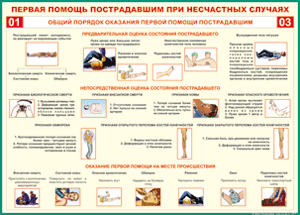 Таблица "Общий порядок оказания первой помощи пострадавшим" (100х140 сантиметров, винил) - fgospostavki.ru - Артём