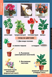 Комплект таблиц. Окружающий мир 1 класс. - fgospostavki.ru - Артём